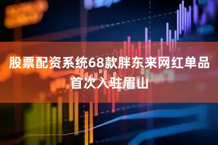 股票配资系统68款胖东来网红单品首次入驻眉山