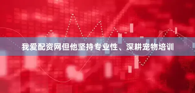我爱配资网但他坚持专业性、深耕宠物培训
