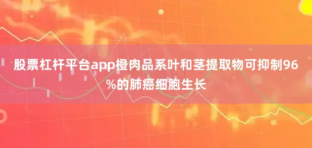 股票杠杆平台app橙肉品系叶和茎提取物可抑制96%的肺癌细胞生长