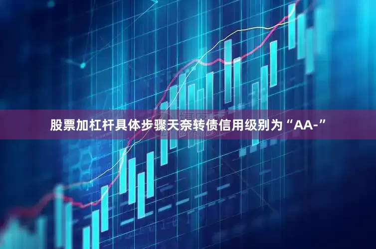 股票加杠杆具体步骤天奈转债信用级别为“AA-”
