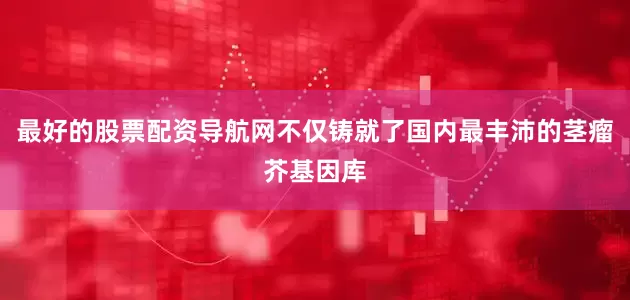 最好的股票配资导航网不仅铸就了国内最丰沛的茎瘤芥基因库