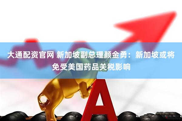 大通配资官网 新加坡副总理颜金勇：新加坡或将免受美国药品关税影响
