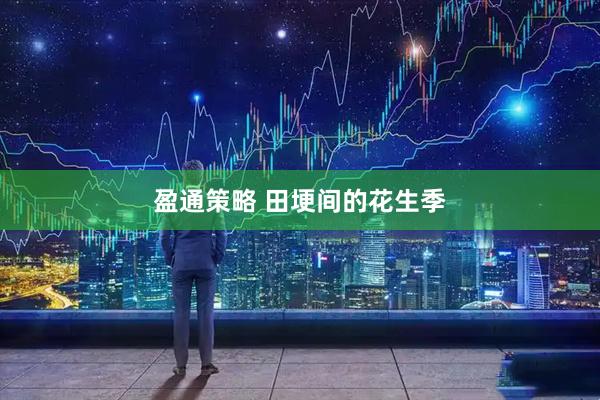 盈通策略 田埂间的花生季