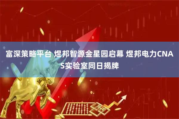 富深策略平台 煜邦智源金星园启幕 煜邦电力CNAS实验室同日揭牌